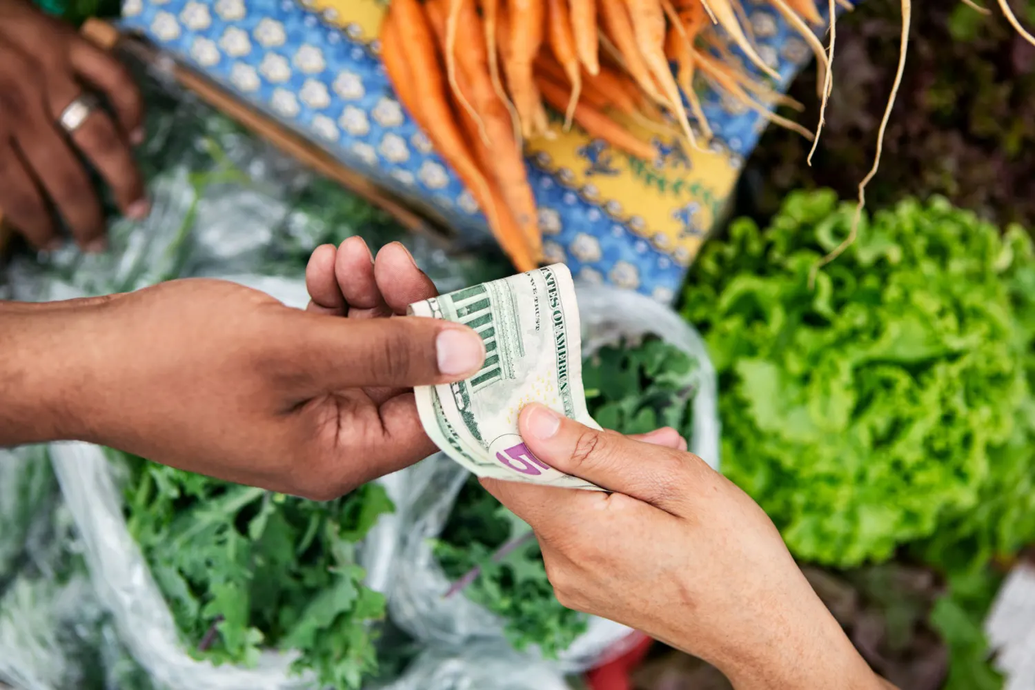 Smart Grocery Shopping Habits for Big Savings